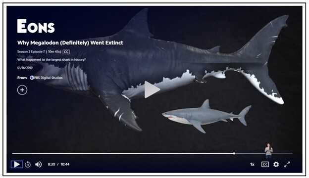 Figure 1. Explore the size, diet and evolutionary history of megalodon in this PBS video, “Why Megalodon (Definitely) Went Extinct.” 