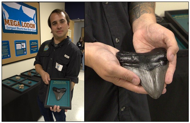 Figure 2. Nick Hall (author) with a model megalodon tooth he 3D printed and painted.