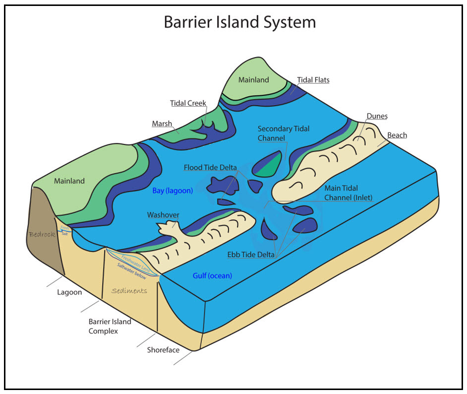 Figure 2. Illustration showing the main features associated with barrier island systems.
