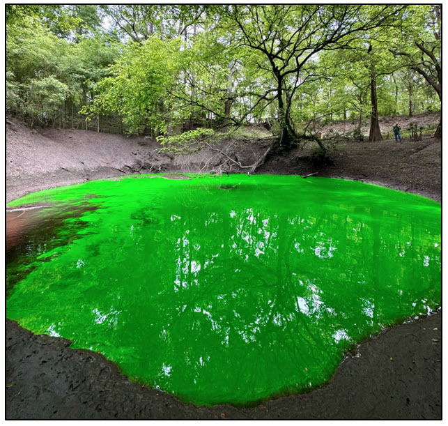 Figure 3_Swallet after dye introduction in Creek Sink.