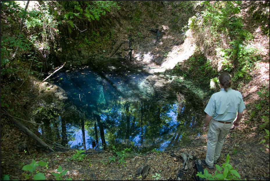Figure 1. A picturesque water-filled sinkhole in the Ocala Karst District.