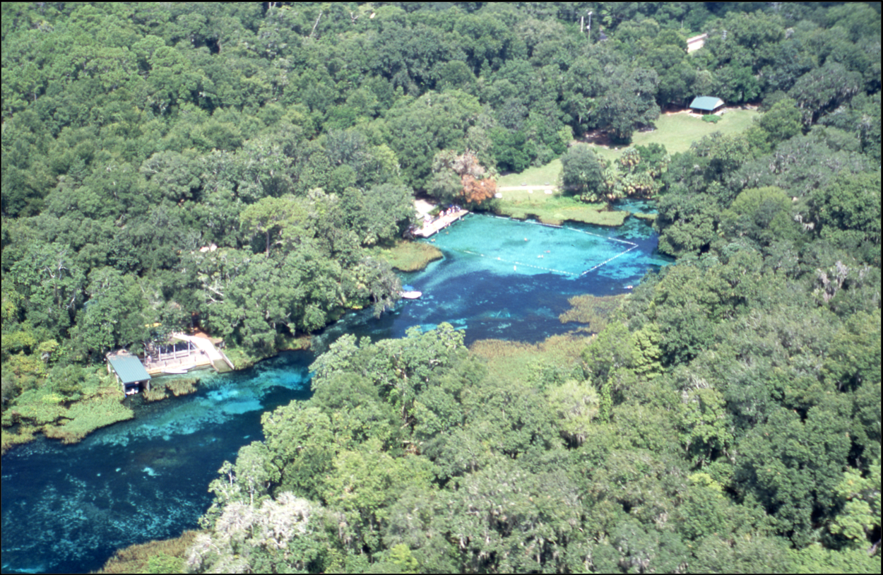 Figure 3. Aerial photograph of Rainbow Springs, taken in 2004.
