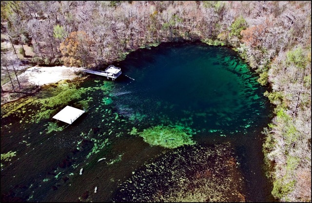 Figure 4. Aerial photograph of Wakulla Spring with the Wakulla River flowing out to the bottom left.
