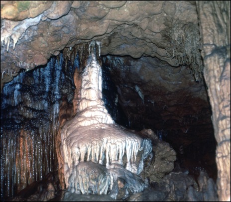 Figure 8. Flowstone in Florida Caverns in Florida Caverns State Park.
