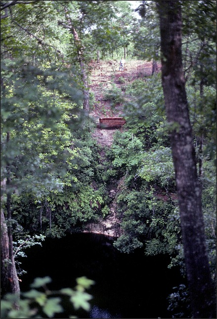 Figure 11. Big Dismal Sink at the Leon Sinks Geological Area.