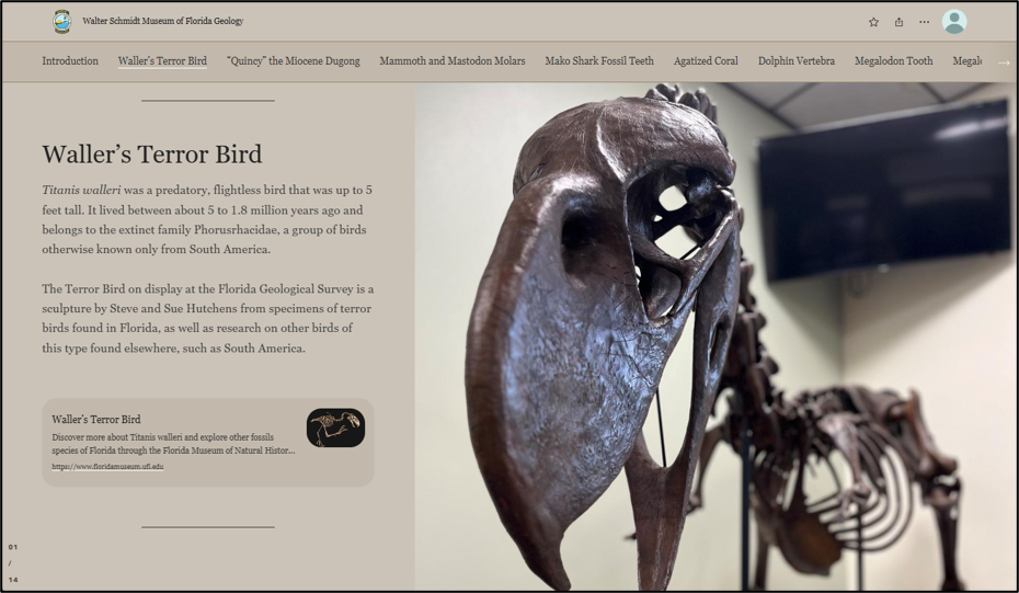 Figure 5. The Walter Schmidt Museum of Florida Geology StoryMap includes 14 highlighted specimens, including Waller’s Terror Bird.