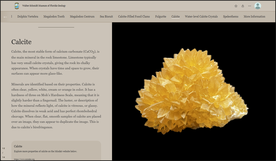 Figure 6. The Walter Schmidt Museum of Florida Geology StoryMap includes 14 highlighted specimens, including the Calcite slide above.