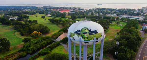 Turtle Water Tower Cover