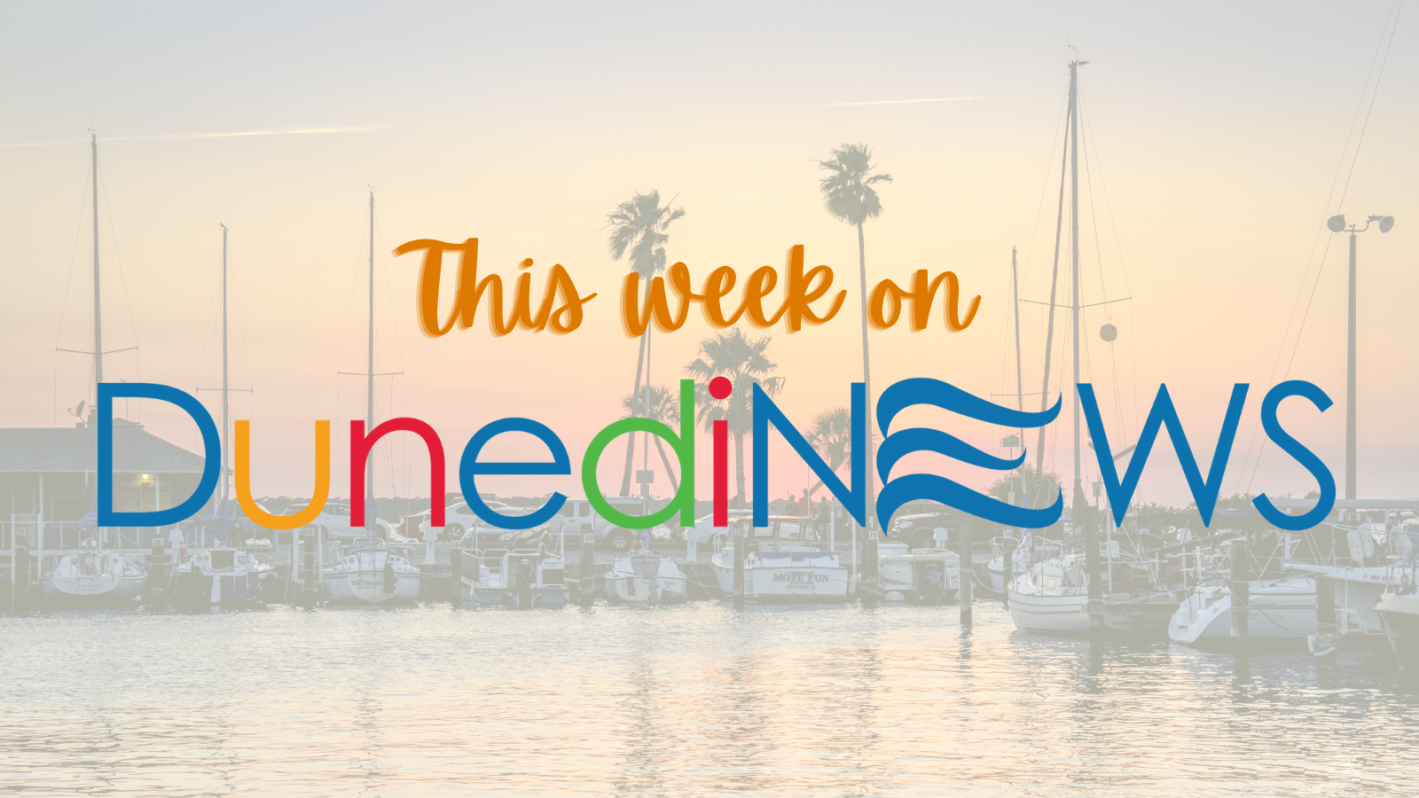 Read this week's DunediNEWS Apply for a Permit Online, Best of the Bay