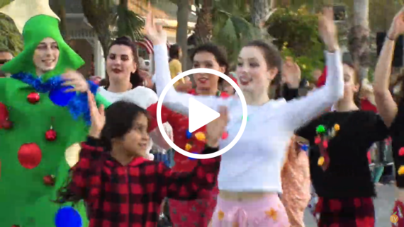 Holiday Buzz Video Image