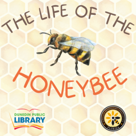 The Life of the Honeybee