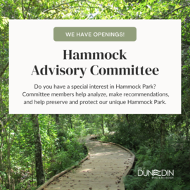 Hammock Park Advisory