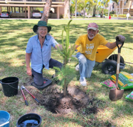 Arbor day tree giveaway