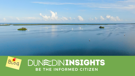 Dunedin Insights: Photo of water 