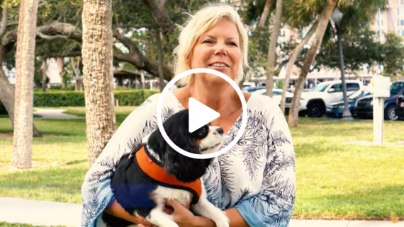 Ollie dog video image