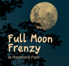 Full Moon Frenzy