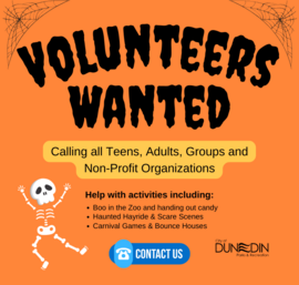 volunteers halloween happenings