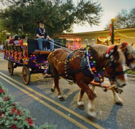 Old Fashioned Christmas carriage rides