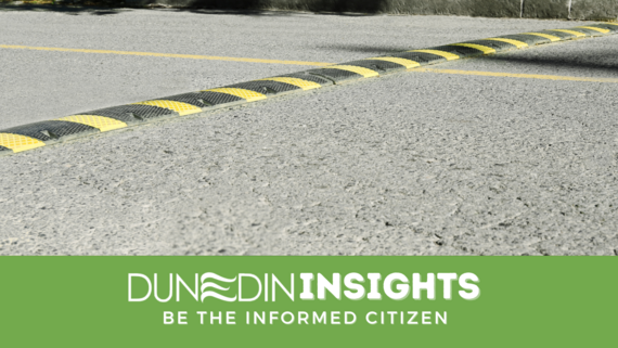 Traffic Calming Blog Post