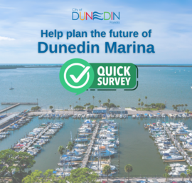 Marina Master Plan Survey