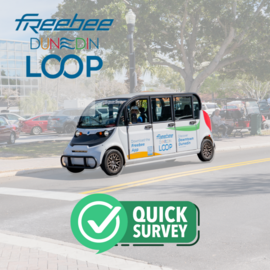 freebee survey