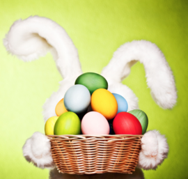 easter bunny