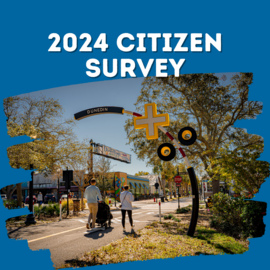 citizen survey