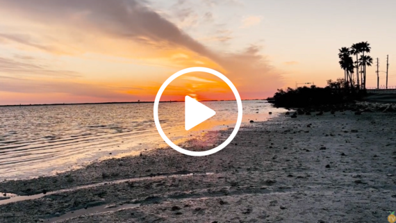 ryan spotlight video image