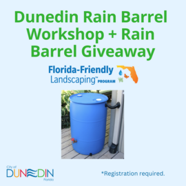 rain barrel