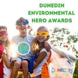 environmental hero award