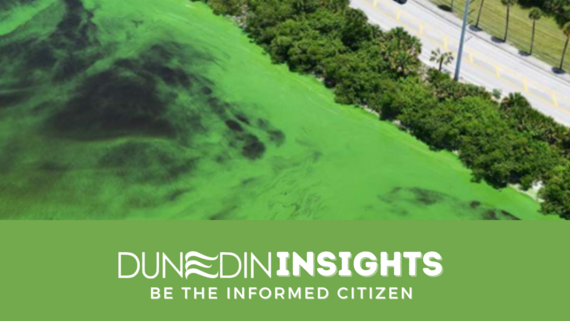 fertilizer restrictions