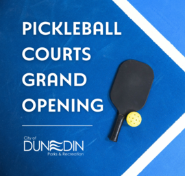 Pickleball