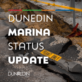 DunedinMarinaStatusUpdate