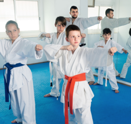 tae kwon do