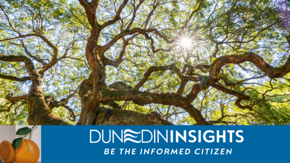 Tree Risk Assessment