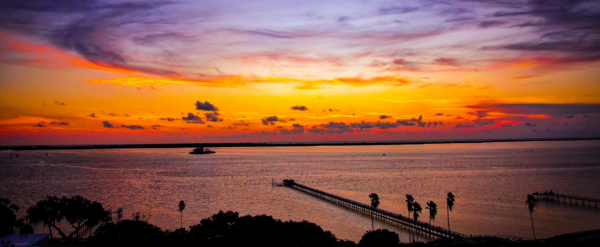 Dunedin coastal sunset