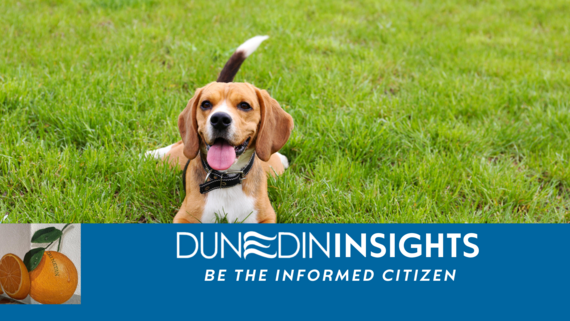Dunedin Insights, Scoop the Poop