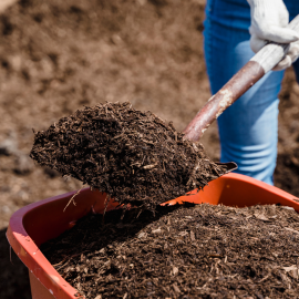Dunedin Does Compost