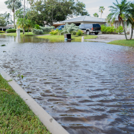 Street Flooding in Dunedin