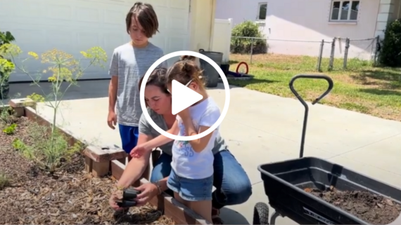 Dunedin Does Compost Video