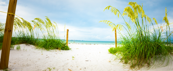 Honeymoon Island beach view