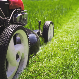 Lawn mower cutting grass