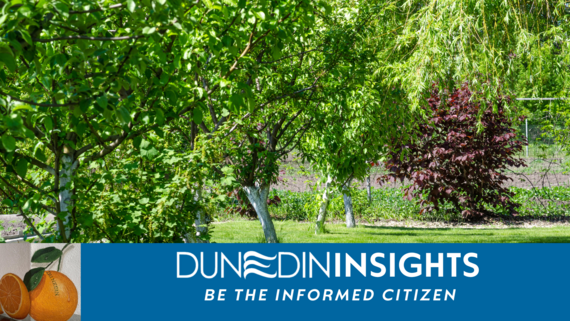 Dunedin Insights plants and trees 