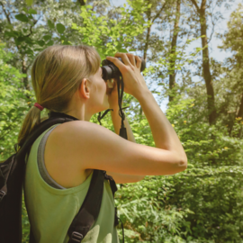 Bird Watching at Hammock Park