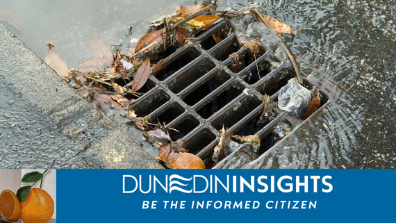 Leaves in storm drain