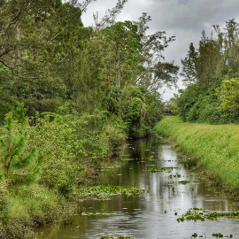 Culvert clearing 