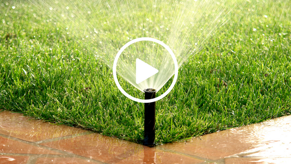 Lawn Irrigation System