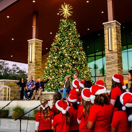 Tree Lighting Ceremony