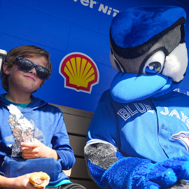 Blue Jays Mascot Ace