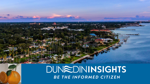 Dunedin Insights